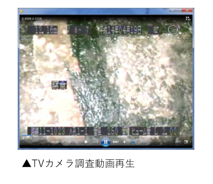 システムの特長