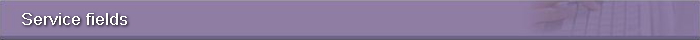 Service fields
